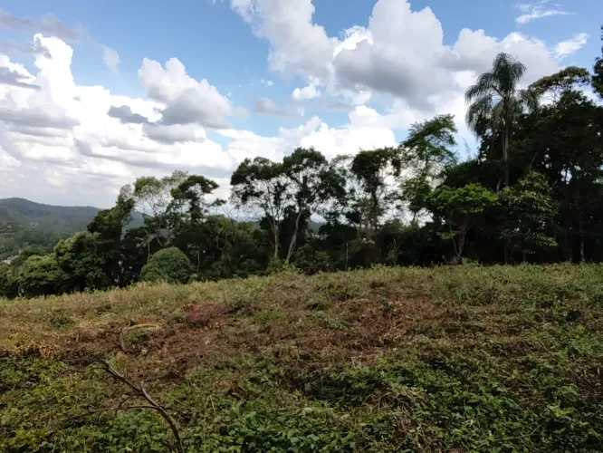Capitalville lote plano sem arvores pronto para construir