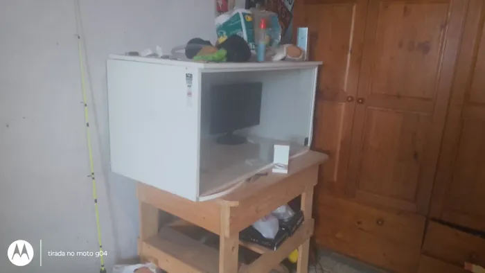 Terrário para ramister
