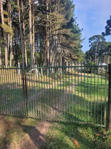 TERRENO RURAL em Campo Alegre - SC, Rio Vermelho