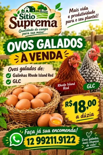 Ovos Galados