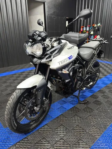 Tiger 2015