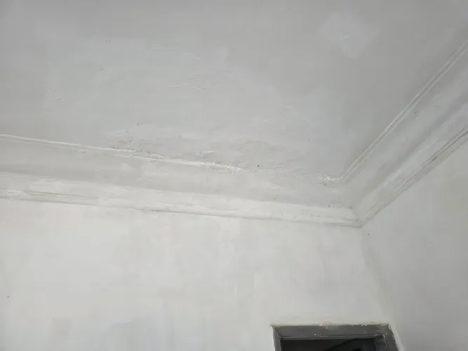 Preciso de gesseiro para restaurar moldura
