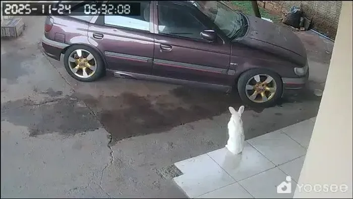 Volkswagen Pointer GTI 2.0 1994