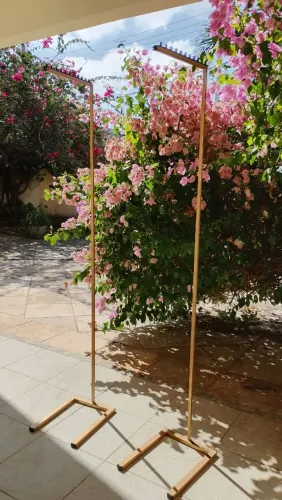Arara PREMIUM para lojistas