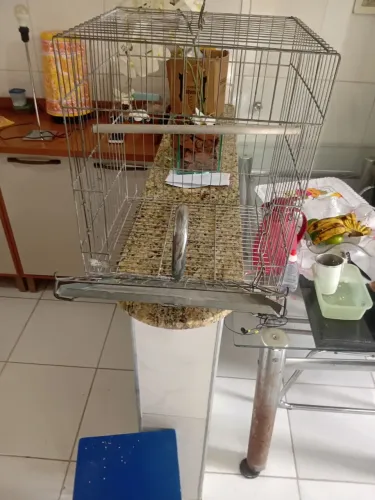 Gaiola para papagaio Coelho galo e outros