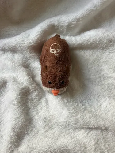 Hamster Zhu zhu