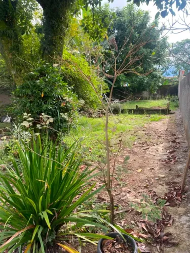 Terreno a venda totalmente murado