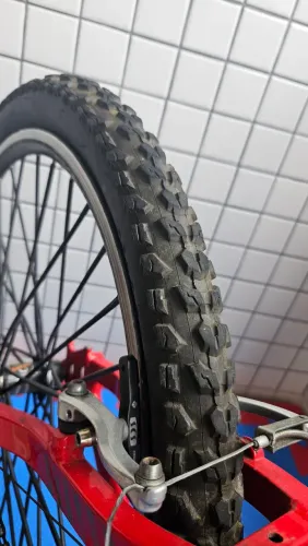 BIKE VIKING TUFF25