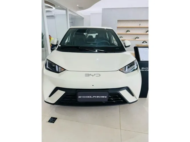 BYD Dolphin Mini (Elétrico) 2027