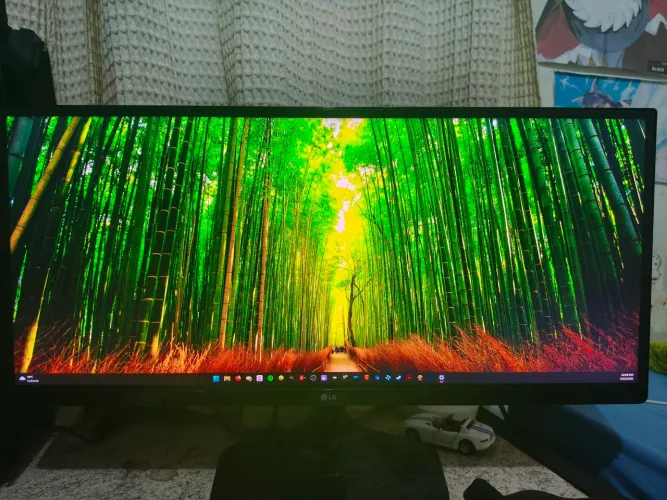 Monitor LG Ultrawide 25UM58