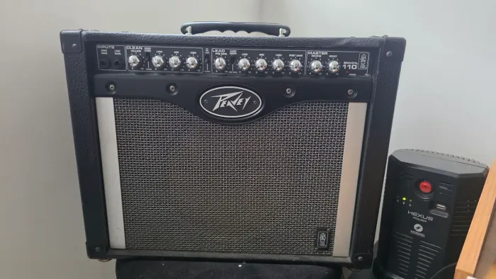 Peavey Envoy 110