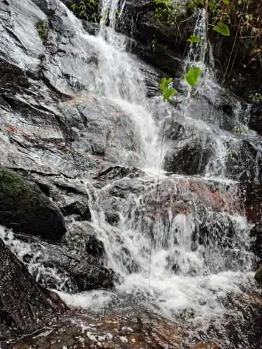 sitio 12 alqueires com cachoeira e lago. em Joanópolis SP