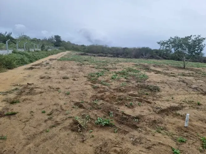 Lote Terreno, Mini Chacara e Mini Sitio em Capim Grosso - Fz Curral de Pedra