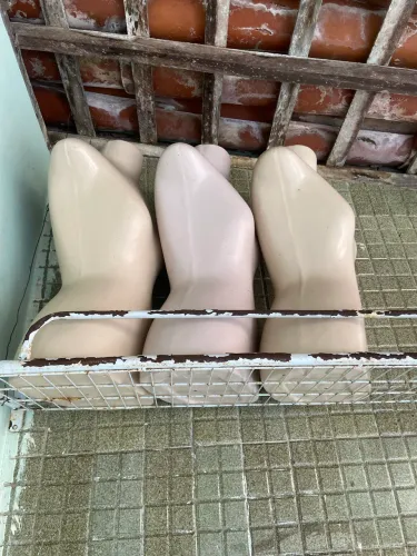 Vendo esses três manequins 20,00 cada
