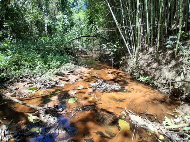 Sítio com 23.500m² Região Mogi Mirim
