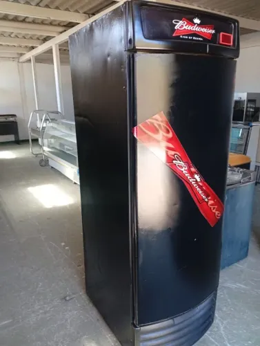 Cervejeira Fricon 550 litros , chega até -6 foi pintada por dentro funcionando bem