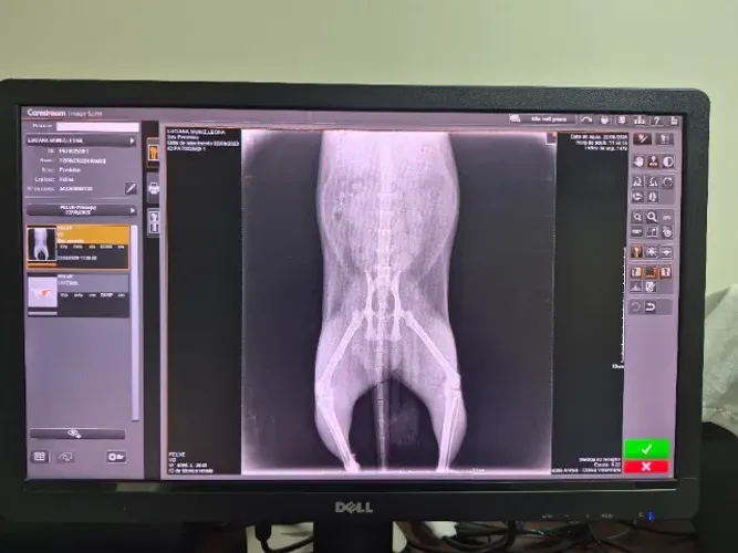 Cr carestream digitalizadora de rx veterinario