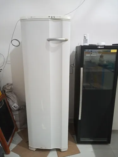 Freezer Electrolux FFE24