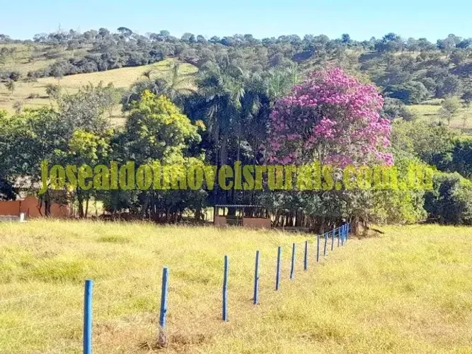 SÍTIO DE 7 HECTARES - REFÚGIO TRANQUILO A APENAS 25 KM DE ARAGUARI/MG