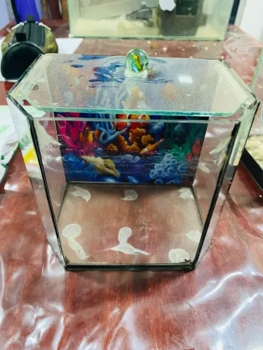 Aquário para peixe