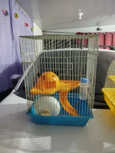 Gaiola de hamster 