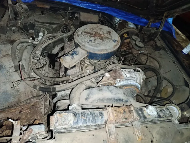 Motor 302 v8 Maverick Galaxie Landau F100 F350 F1000 Opala Hot Rod