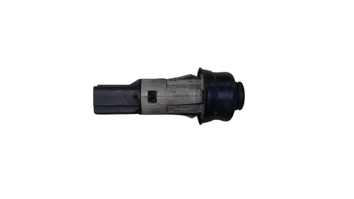 Interruptor Tampa Traseira Renault Clio 2005 / 2012