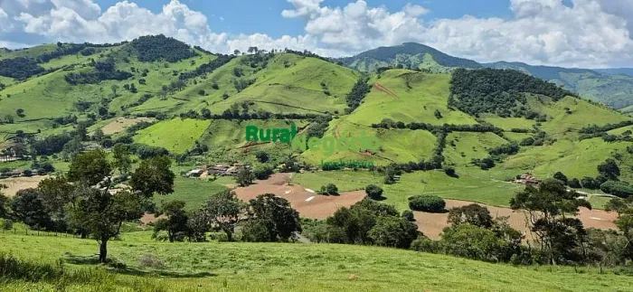 SÍTIO FORMADO À VENDA EM ITAJUBÁ-MG