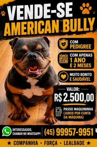 Cachorro macho