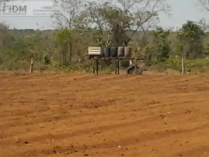 Fazenda agropecuária com 666 ha em Critalândia - TO