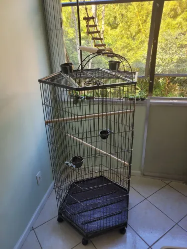 Gaiola/viveiro para Calopsita, Ringneck ou papagaio