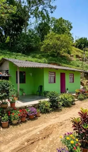 serviço doméstico limpeza de quintal pequena pintura etc