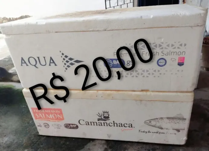 Caixa de Isopor