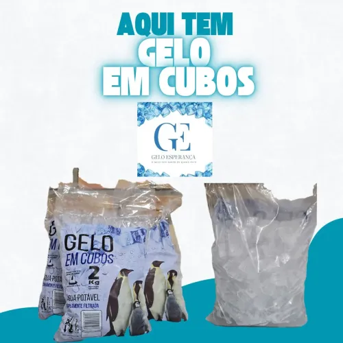 SACO DE GELO EM CUBOS 