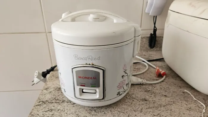 panela de arroz mondial bianca rice 4
