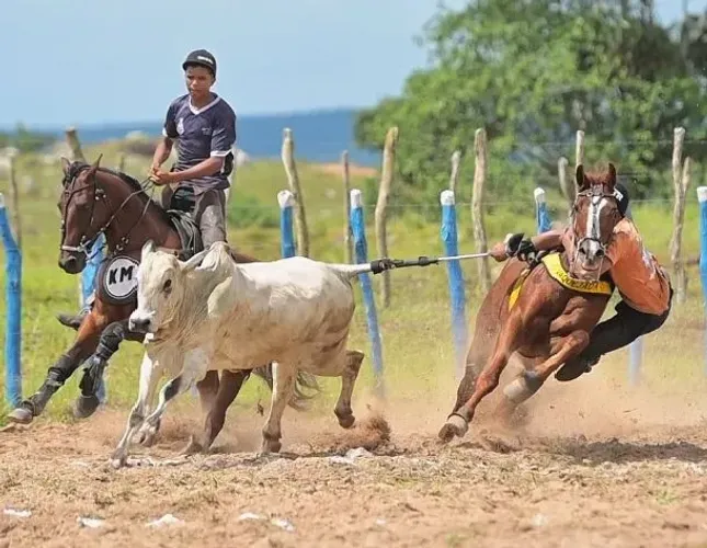 Cavalo de direita