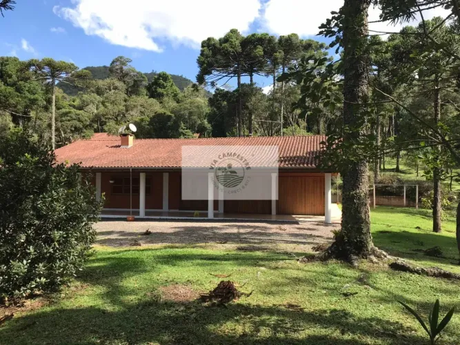 Chácara em Campo Alegre com ampla residência com 3 suítes, mais casa de hospedes, ranchos,