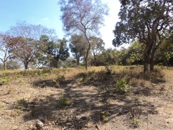 Pará de Minas - Terreno - 23.300 mº - Só R$ 10.000,00 de entrada - Oportunidade única
