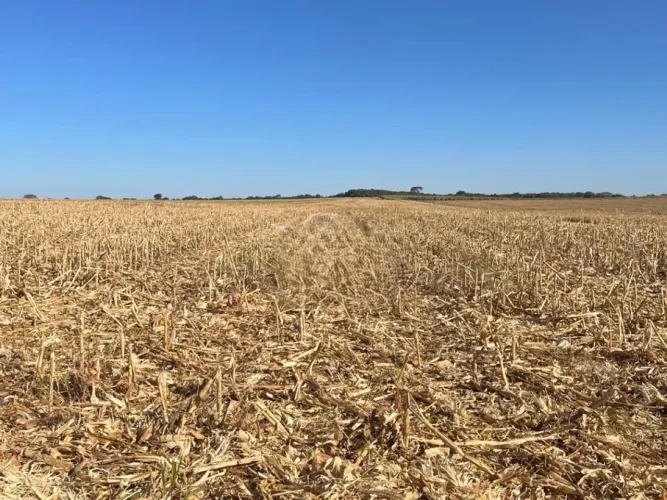 R$125Milhoes.            Fazenda 329 alqueires em Quirinópolis - GO