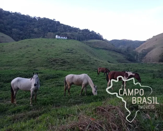 ÓTIMO SÍTIO 6 ALQUEIRES EM SÃO FRANCISCO XAVIER COM MUITA ÁGUA!