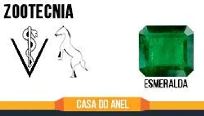 Anel Esmeralda Zootecnia folheado a ouro 18k