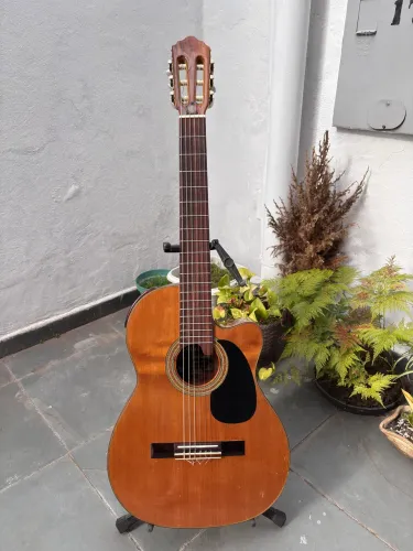 Violão Giannini Flat Feito a mão-GWNFLE 2004