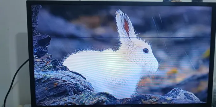 Tv 32" Philips (Imagem com listra)