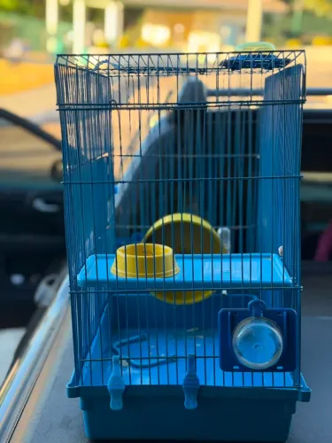 Gaiola para hamster
