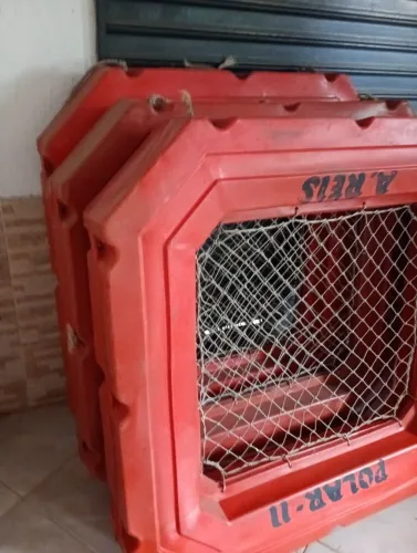 Âncora, balsa salva vidas, carrinho motor de popa