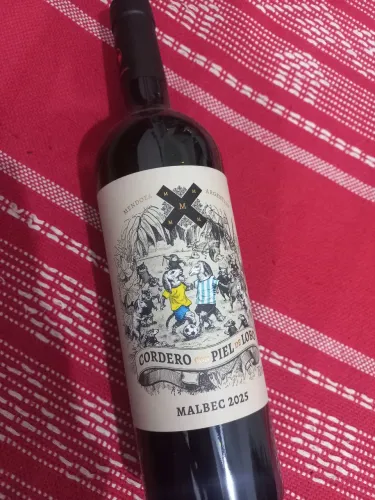 Vinho Brasil argentina