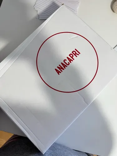 Tênis Feminino - Ana Capri
