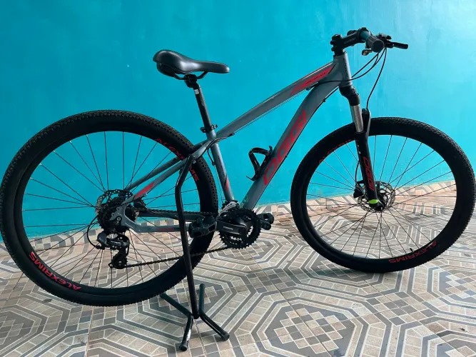 Vendo Mountain bike Oggi