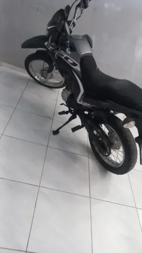 Boa 