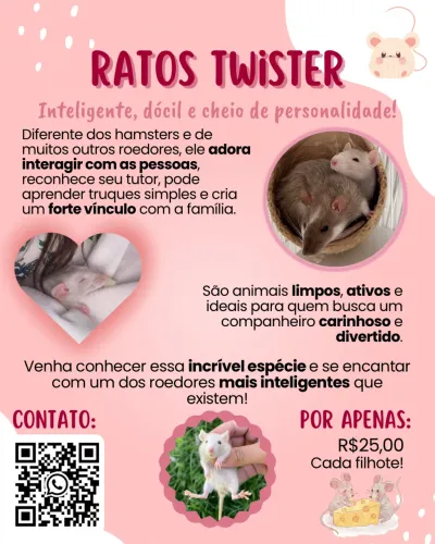 Ratos Twister